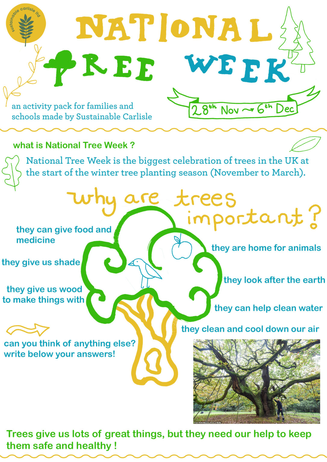 National Tree Week Activity Pack Sustainable Carlisle